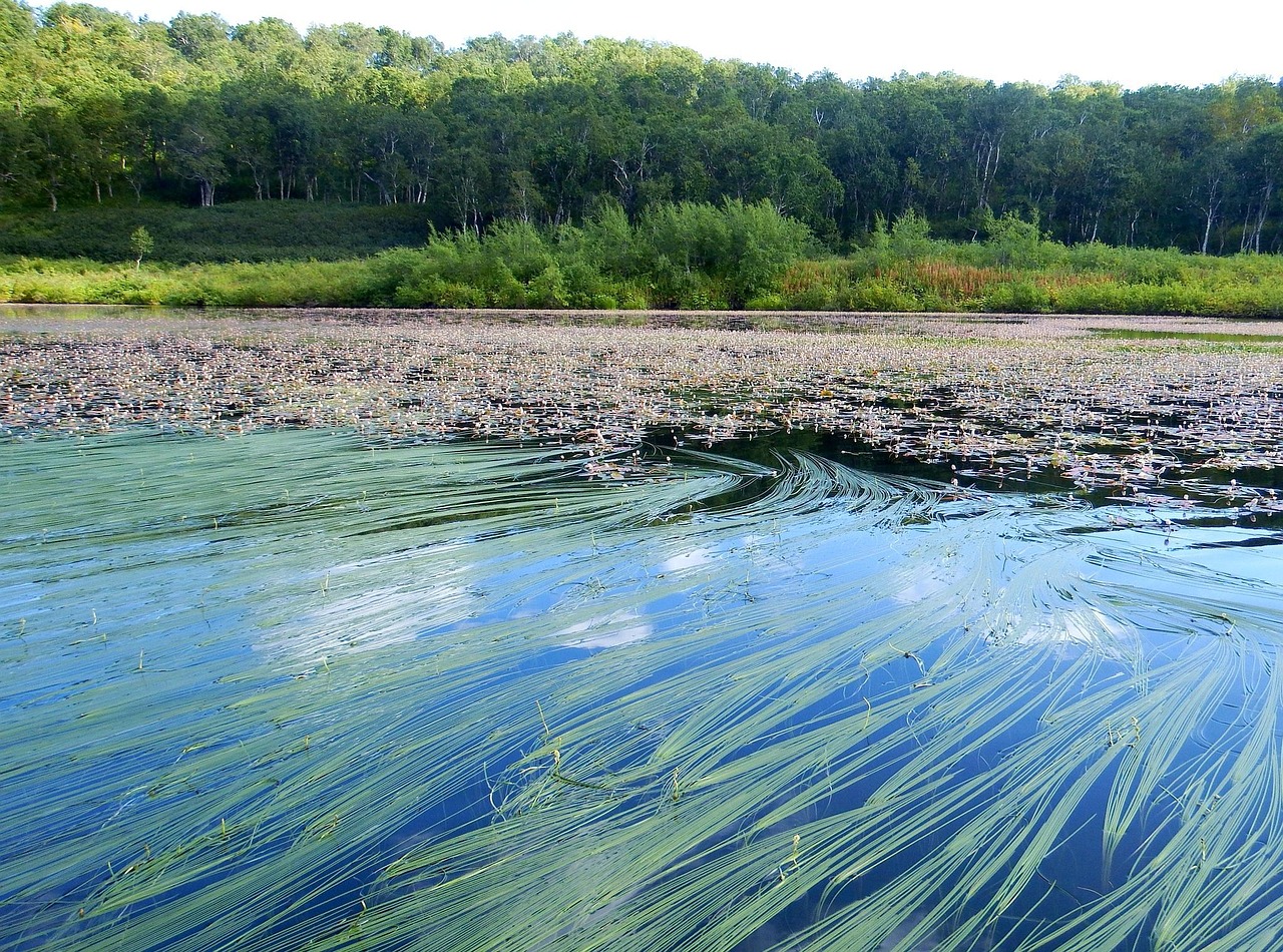 Lake - free online jigsaw puzzle photo