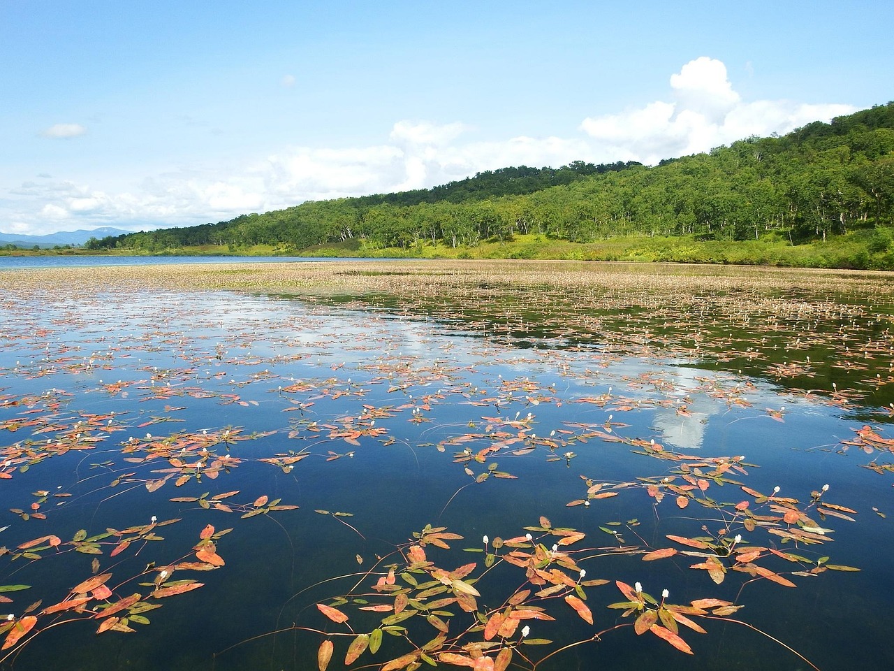 Lake - free online jigsaw puzzle photo