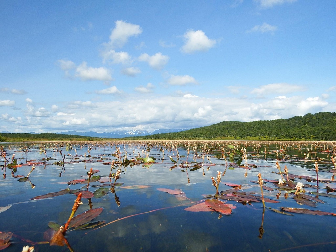 Lake - free online jigsaw puzzle photo