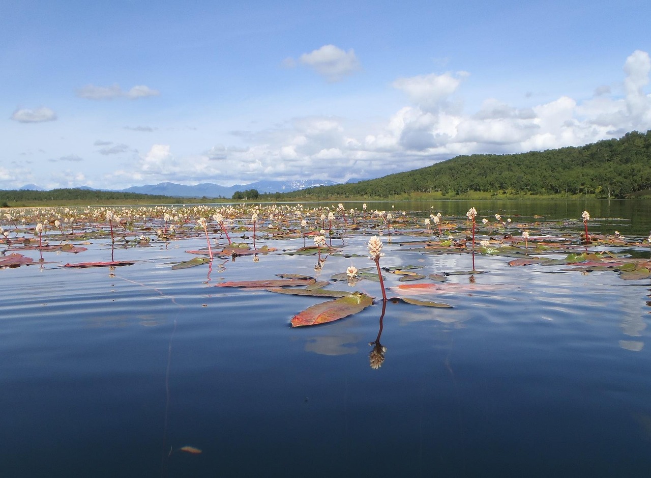 Lake - free online jigsaw puzzle photo