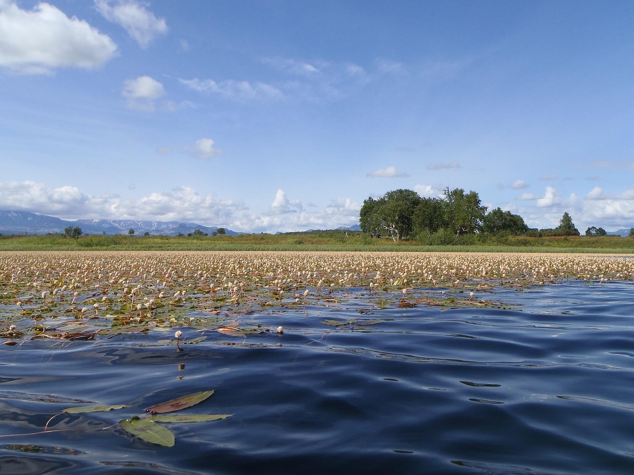 Lake - free online jigsaw puzzle photo