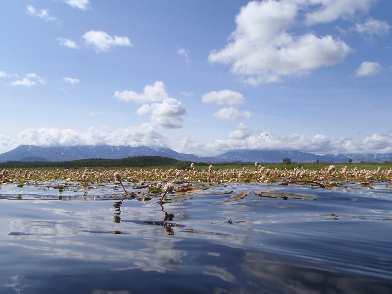 Lake - free online jigsaw puzzle photo