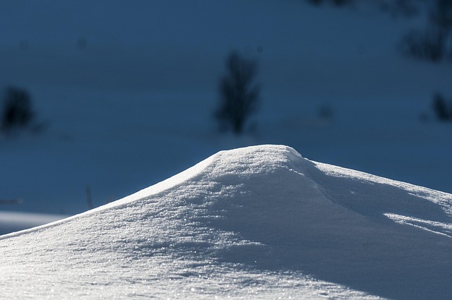 Free Snow Winter photo and picture