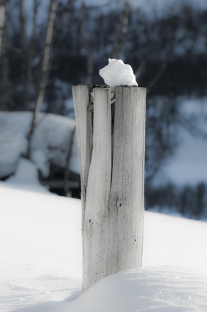 Free Pole Snow photo and picture