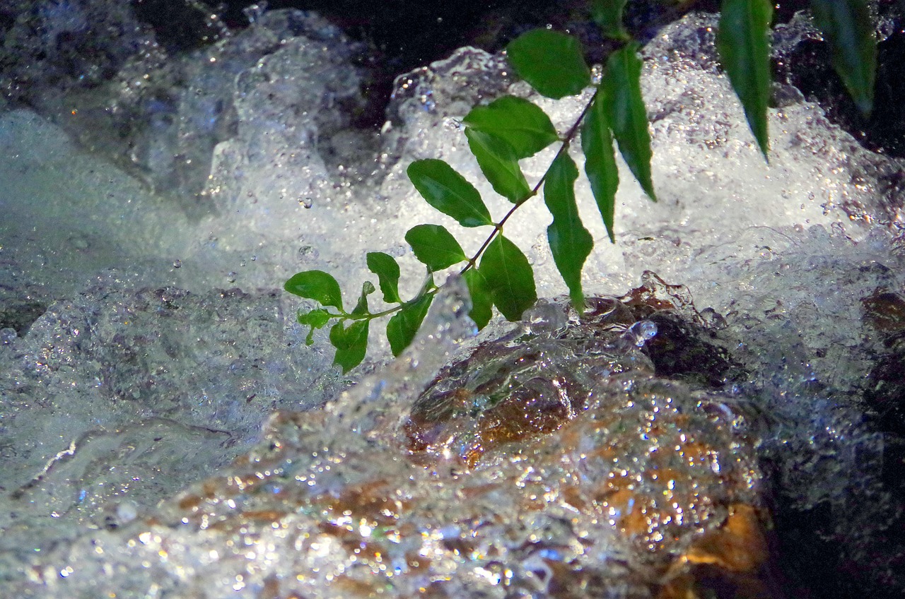 Spray - free online jigsaw puzzle photo