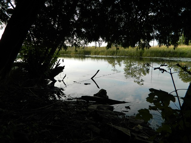 Free Nature Idyll photo and picture