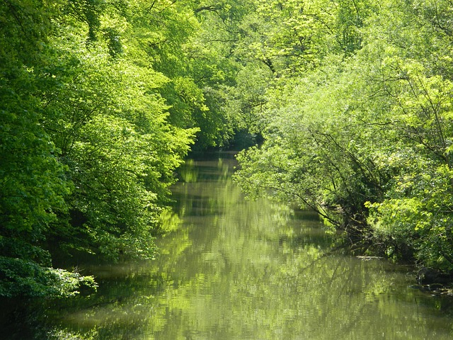 Free Flow Nature photo and picture