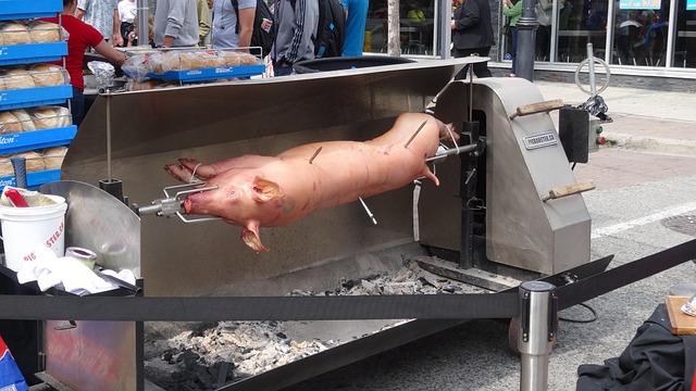 Free Pig Grilling photo and picture