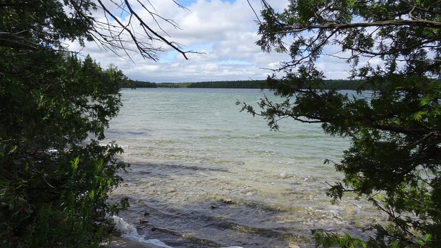 Free Nature Idyll photo and picture