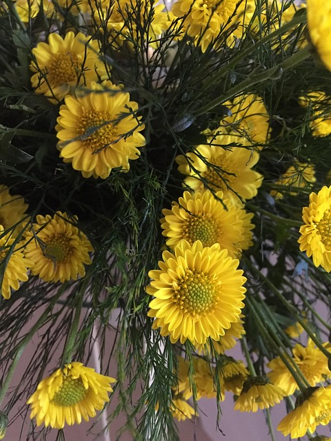 Free Flowers Flower Wallpaper photo and picture