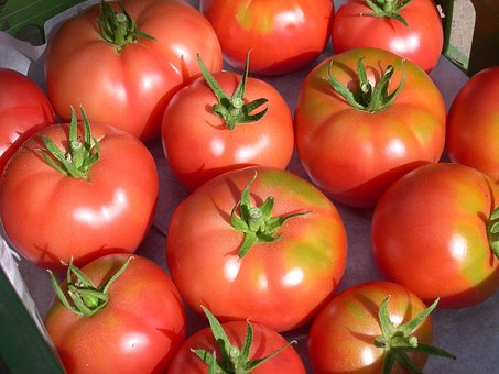 Berner Rosen, Tomaten, Fleischtomaten