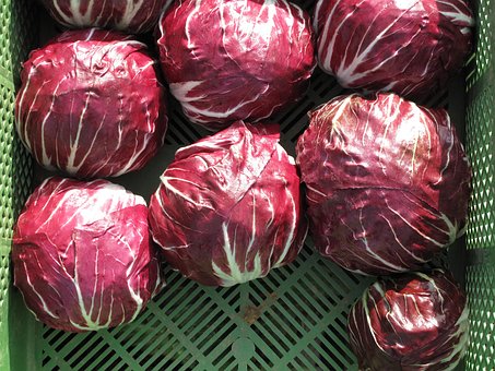 Radicchio, Gemüse, Salat, Ernährung, Rot