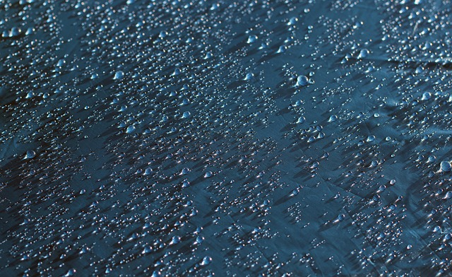 Free Drops Droplets photo and picture