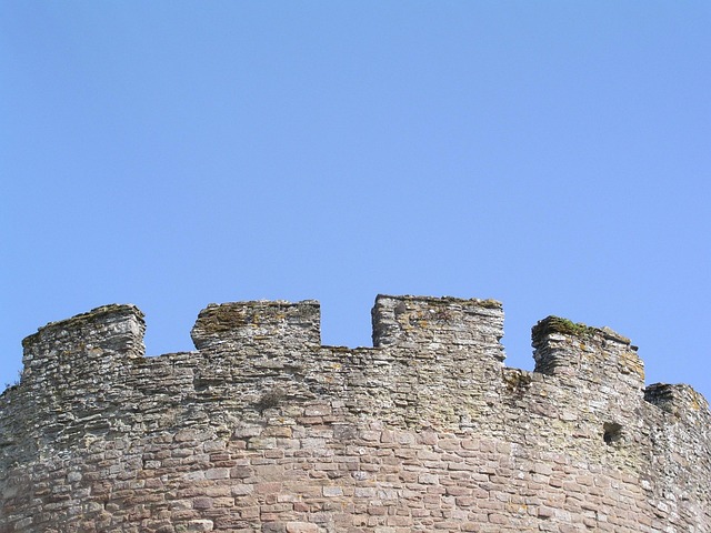 Free Castle Sky photo and picture