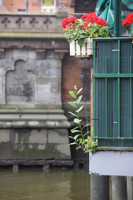 Blumen, Hamburg, Speicherstadt