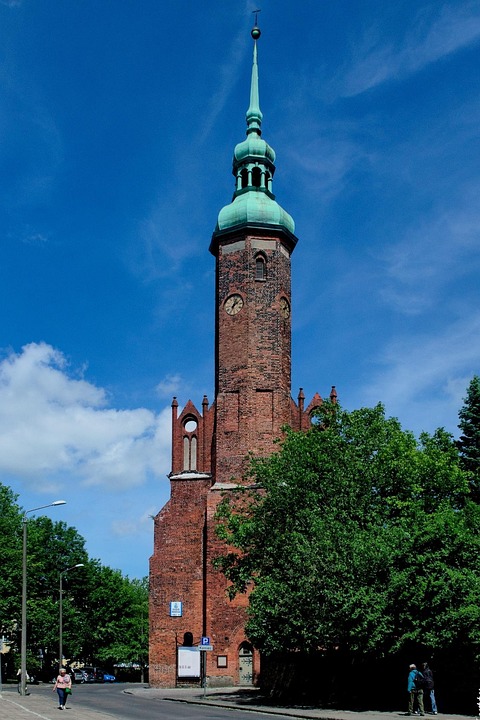 浙江大学生magnet