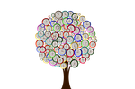 tree, watches, time