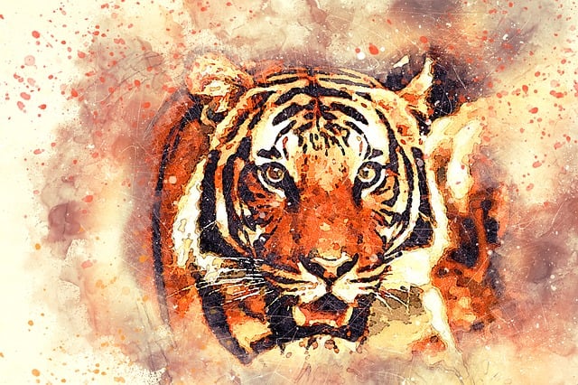 Free tiger pet portrait illustration
