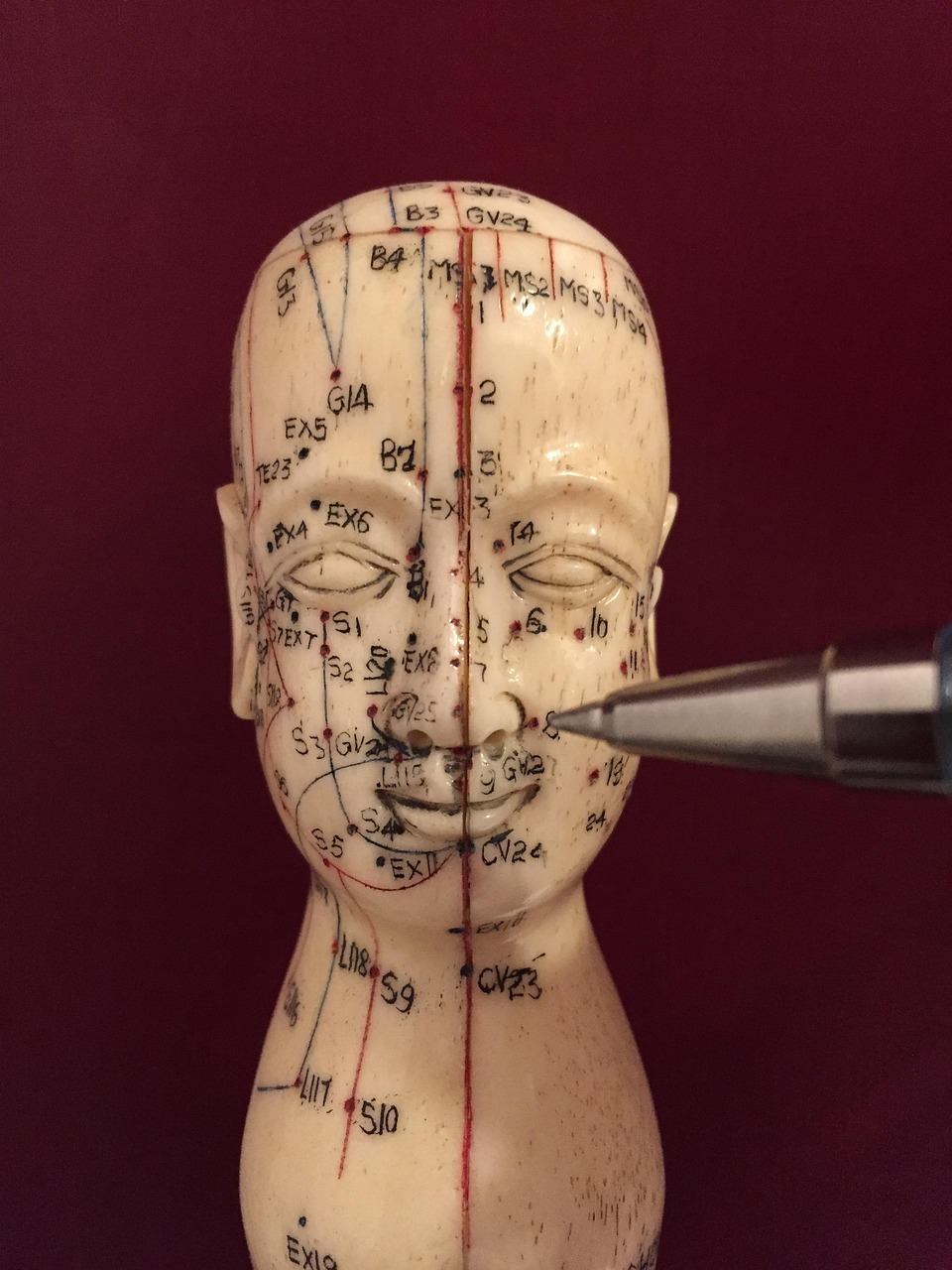 Free Acupuncture Acupuncture Points photo and picture