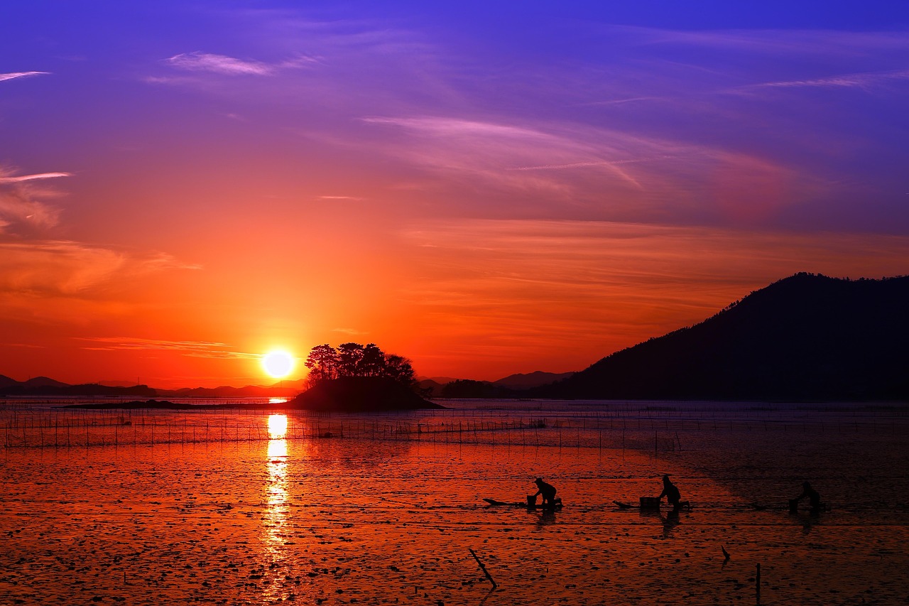 900 + 무료 노을 & 자연 이미지 - Pixabay