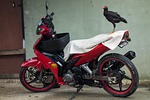 village, chicken, bike