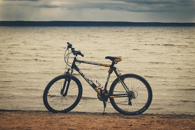Lake, Natur, Fahrrad, Sand
