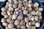 mushrooms, pan, vitamins