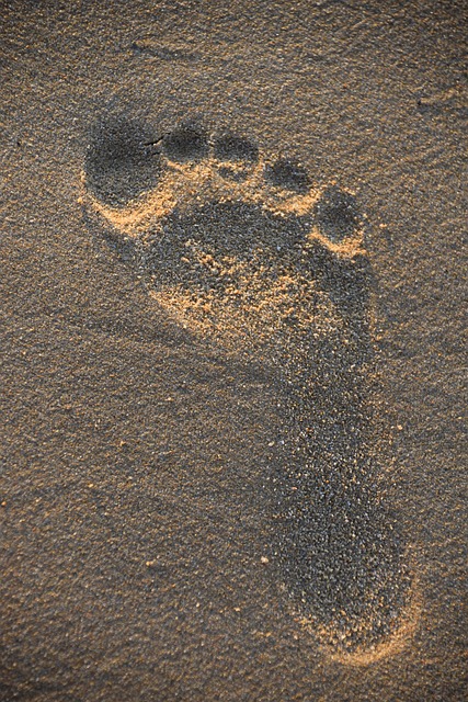 Free Sense Sand photo and picture