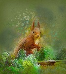 squirrel, forest, animal