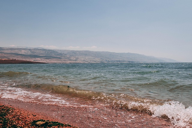 sea, nature, dead sea, water