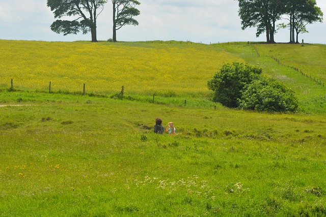 Walk In Field A Walk In The Fields Green Nature - Free photo on Pixabay - Pixabay