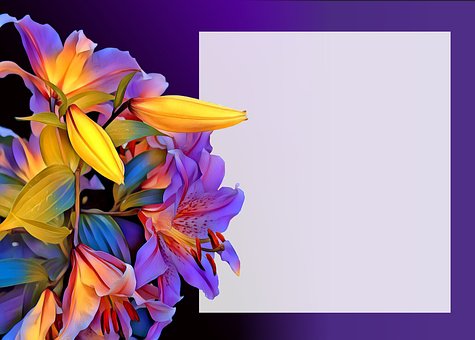 Fundo, Convite, Mapa, Blomsterkort
