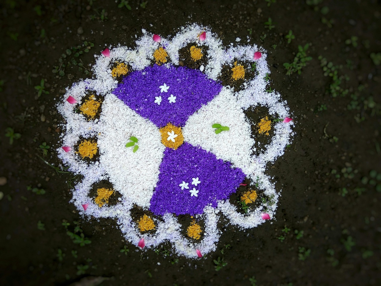 Floral / Pookalam Rangoli (फुलांची रांगोळी)