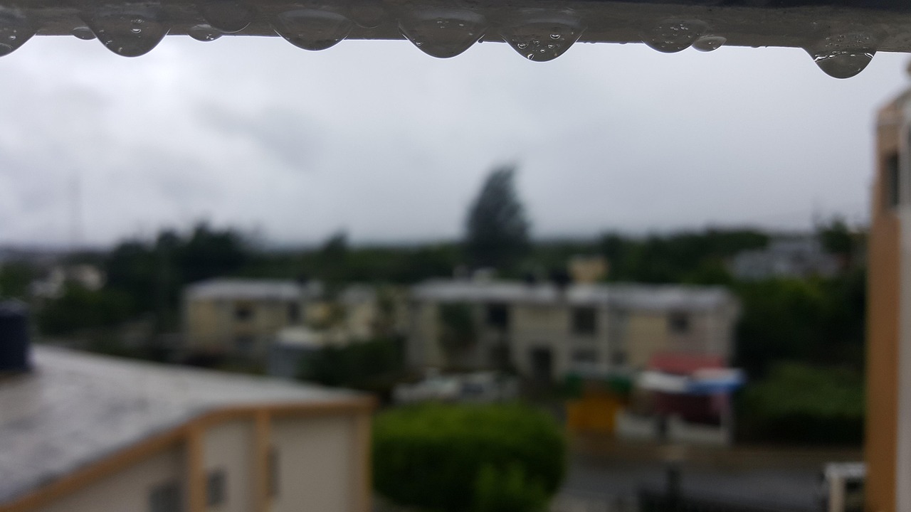 Más de 800 imágenes gratis de Rain Of Eggs y Rain - Pixabay
