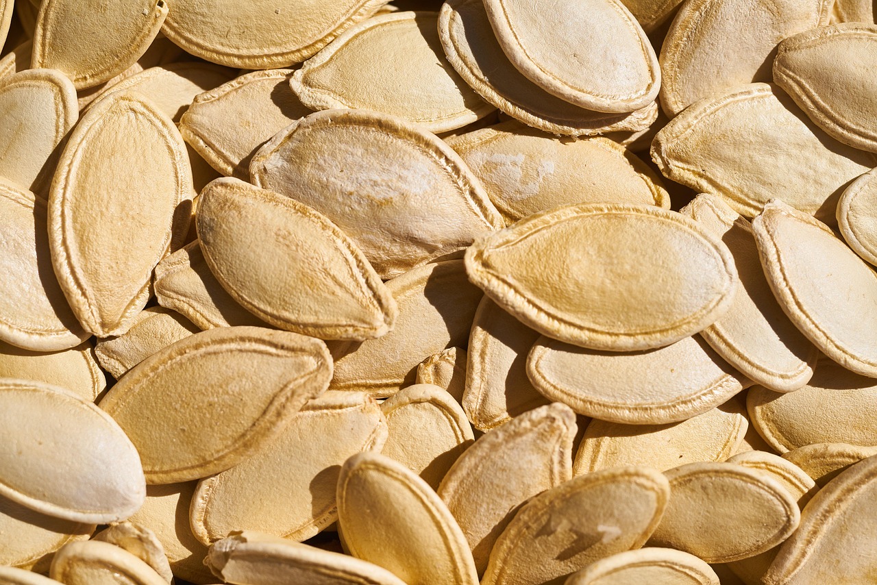 20 000 Free Pumpkin Seeds Pumpkin Images Pixabay
