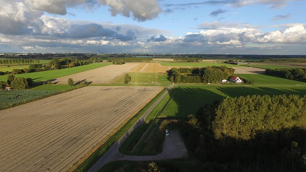 Luft, Polder, Hollandsk Landskab