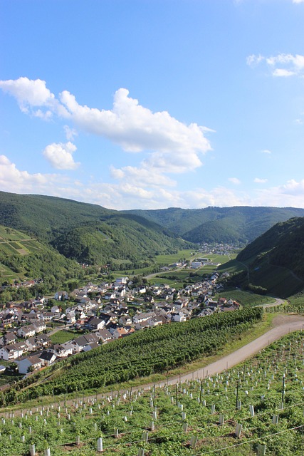 Free Dernau Ahr Valley photo and picture
