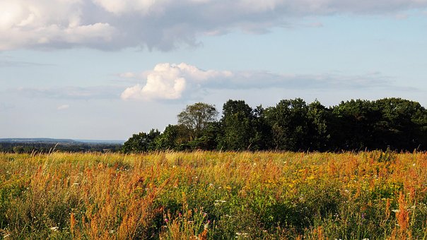 Free Landscape Grasslands photo and picture