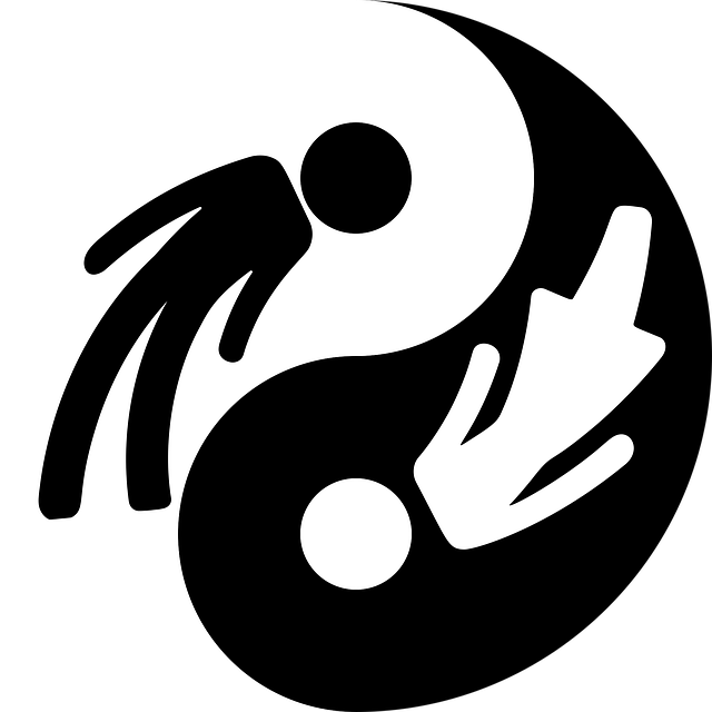 Yin Yang Emblem Â· Free vector graphic on Pixabay
