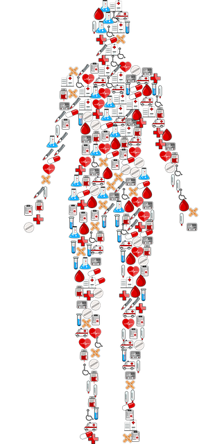 Free human first aid medical vector