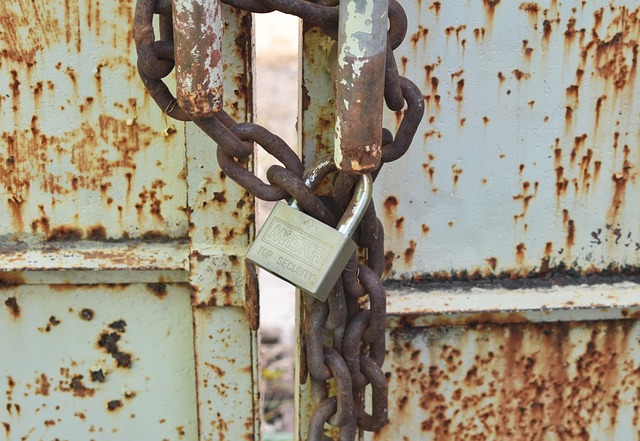 Free Gate Lock photo and picture