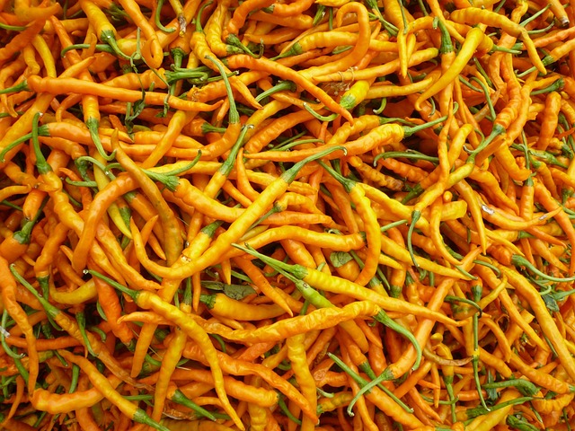 Free Chili Yellow Gong Pepper photo and picture