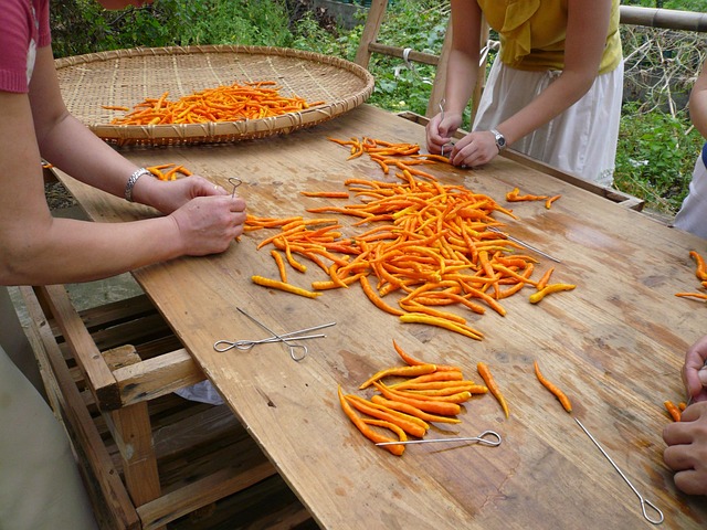 Free Chili Yellow Gong Pepper photo and picture