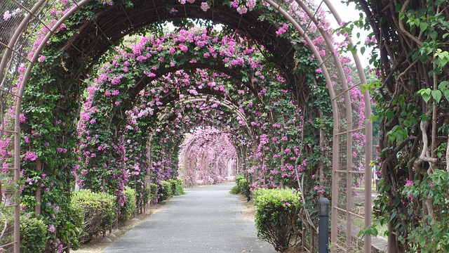 Free Garden Nature photo and picture