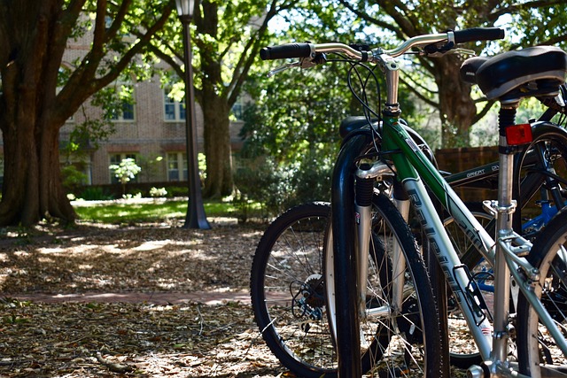 Free W M Campus photo and picture