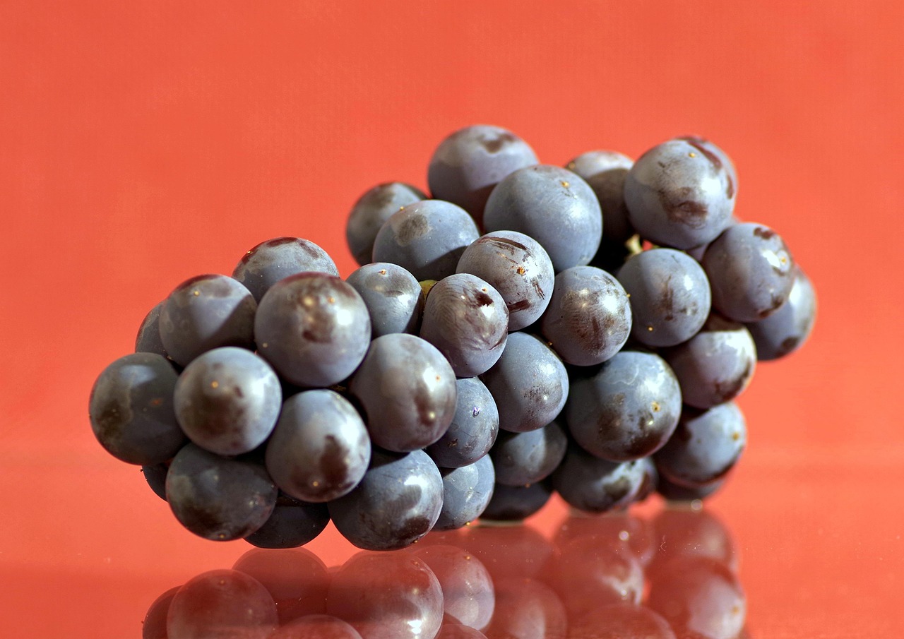Grapes - free online jigsaw puzzle photo
