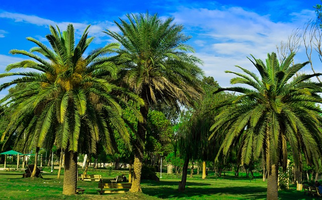 Free Park Garden photo and picture