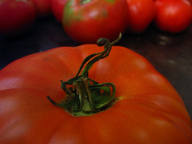 Free Tomatoes Vegetables photo and picture