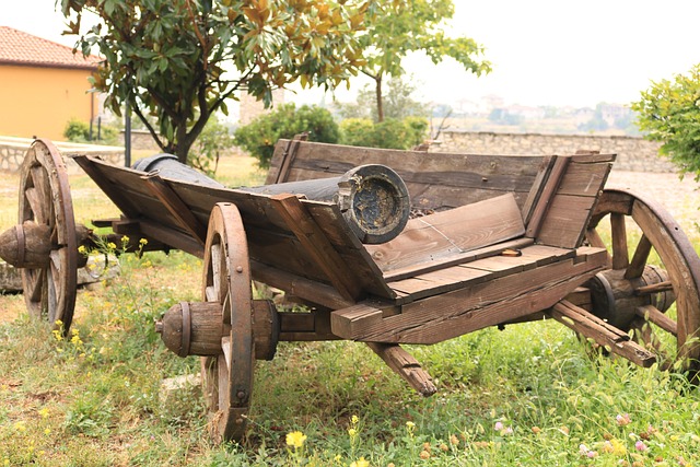 Free Saffronbolu Cart photo and picture