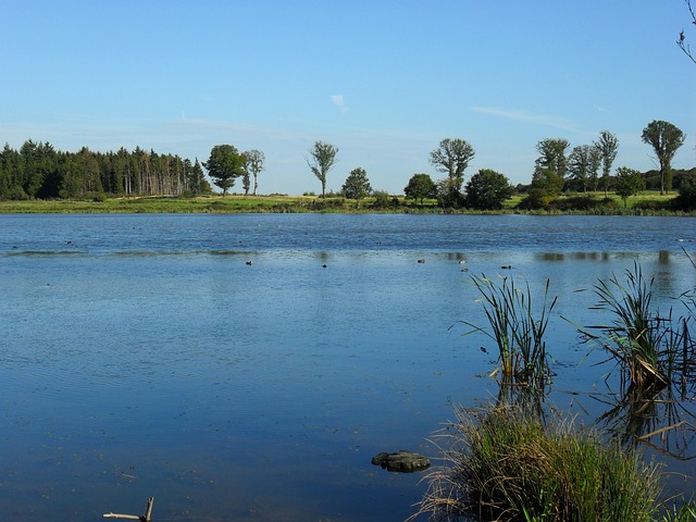 Free Rodder Maar Brohltal photo and picture